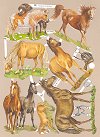 EF7199 - Horses Scr...